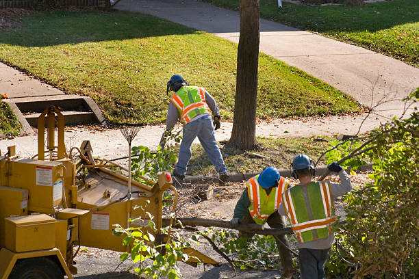 Best Landscape Design and Installation  in Bethlehem, NC